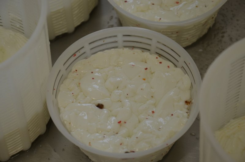 Výroba kozího sýra
